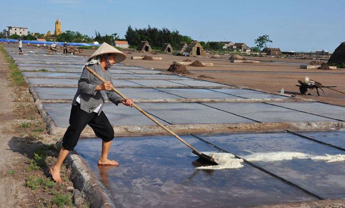 Bạt Lót Ruộng Muối